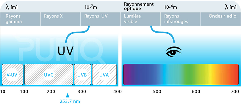 Traitement piscine UV